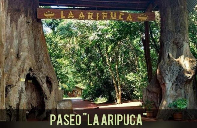 הוילה פוארטו איגואסו La Casa Del Lago Urugua-I מראה חיצוני תמונה
